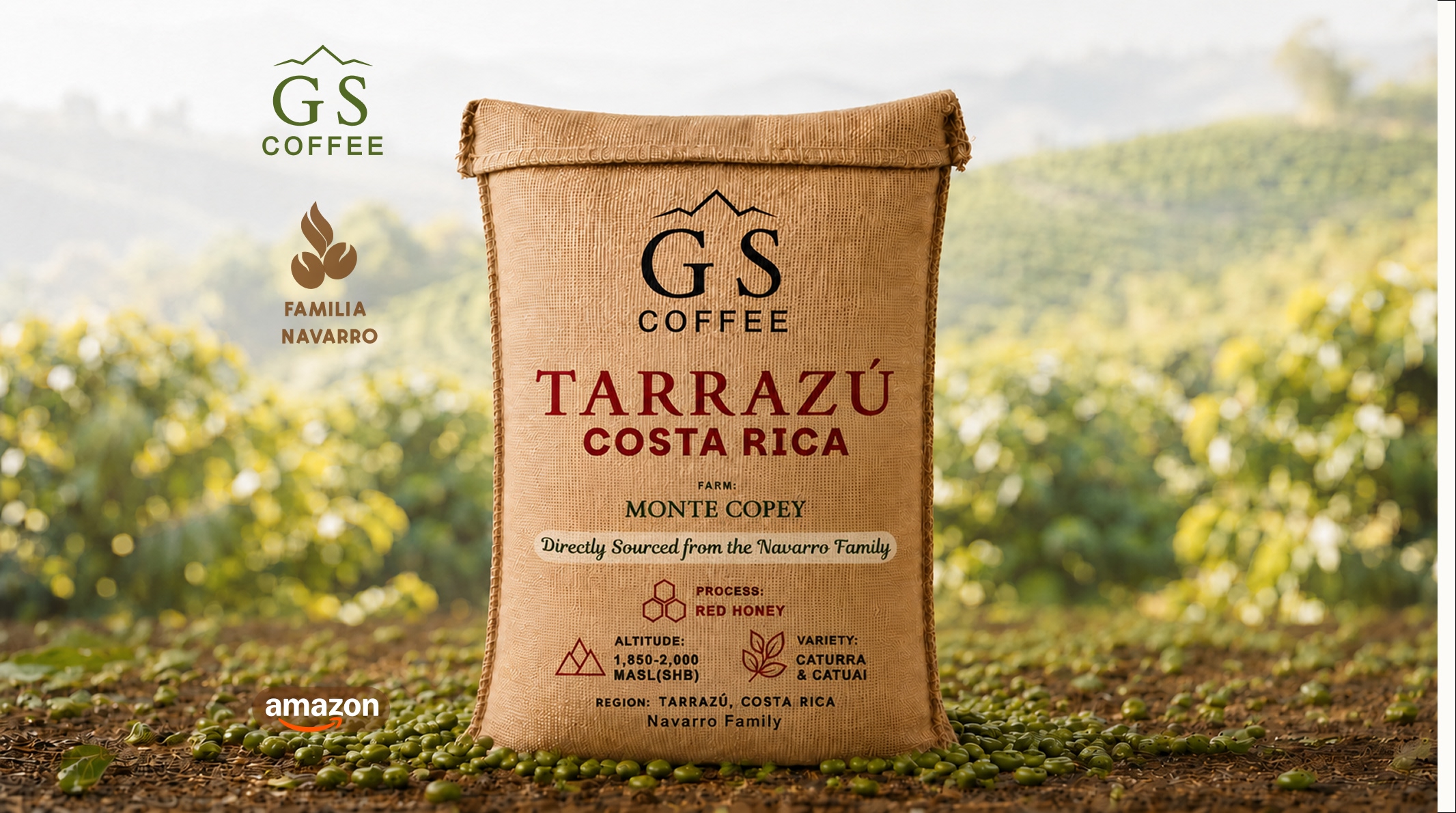 GS COFFEE | Green Premium Specialty Costa Rica Tarrazú — Single Origin Monte Copey by Luis Enrique Navarro | Red Honey Green | SCA 87+